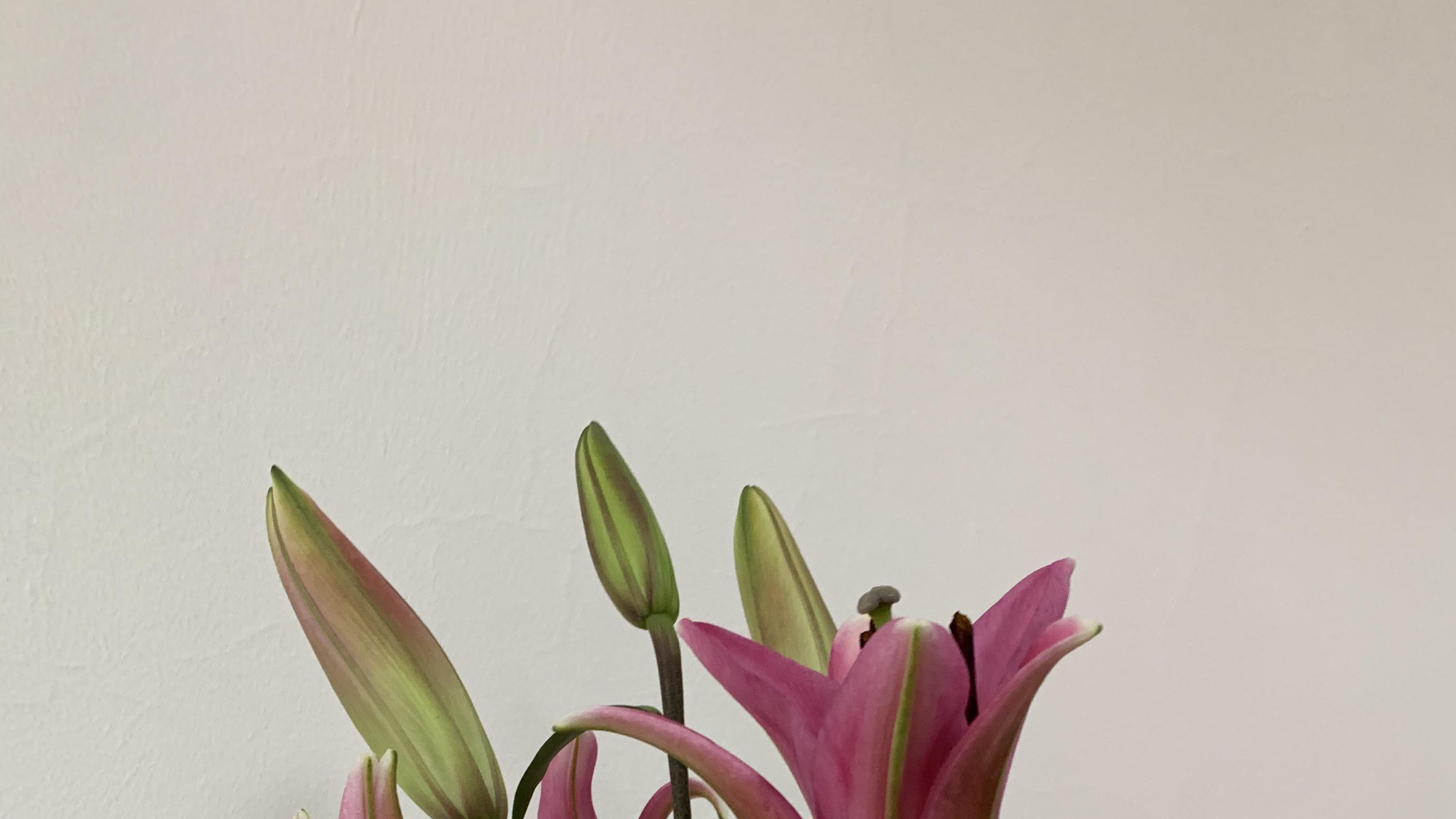 阻碍结婚坏风水