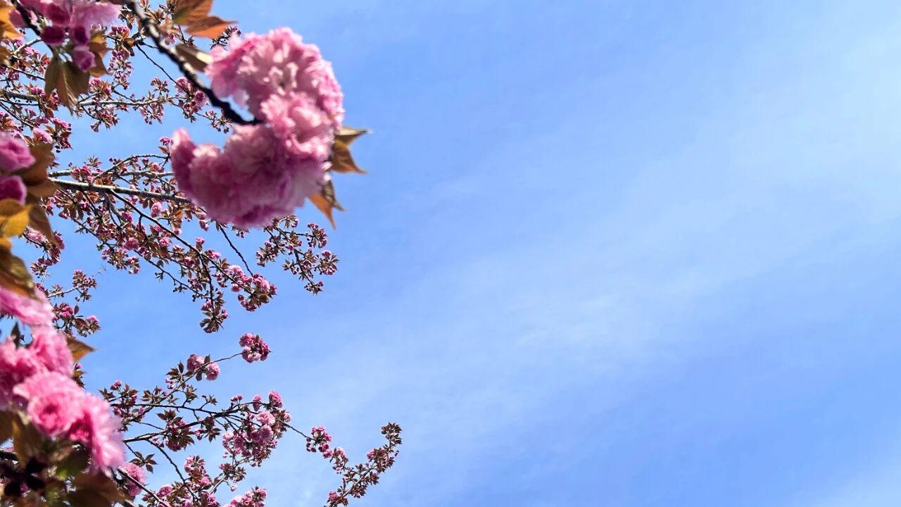 男人离婚后，选择复婚的原因，很现实