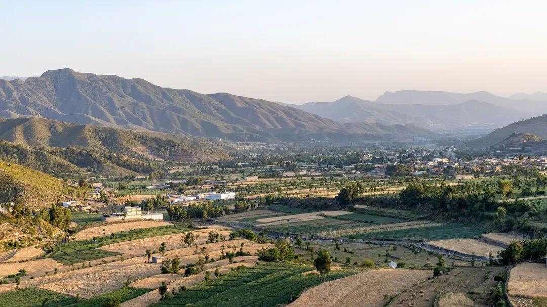 河南哪四类人，过完十五还不出门？