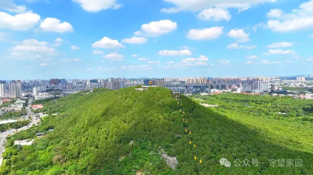 徐州生态：绘就绿动彭城的斑斓画卷