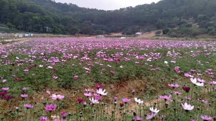 丁元英的处世哲学：少言，是一种境界