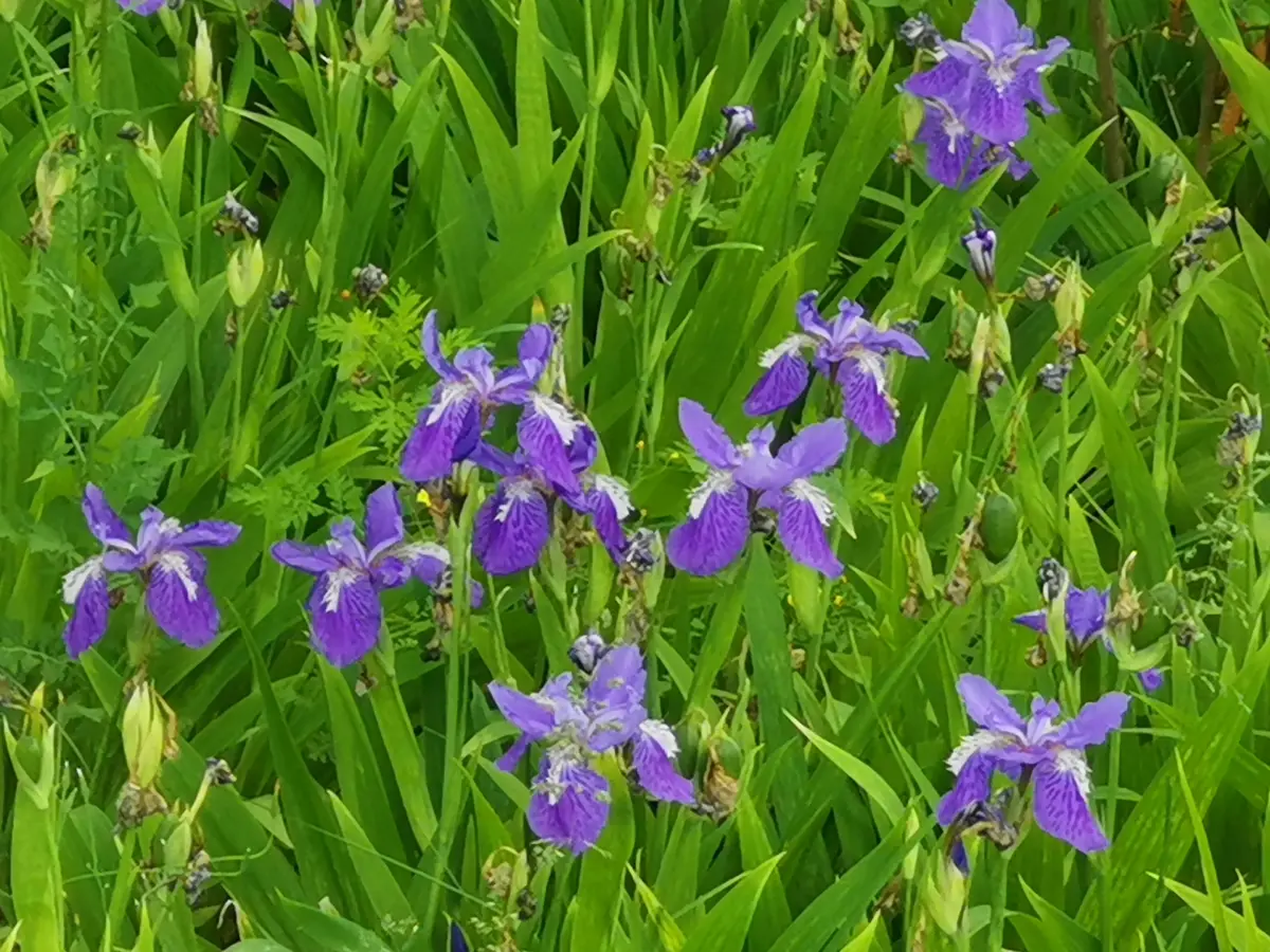 五种学习法的灵活应用（二）