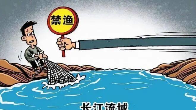 禁渔期变成“偷捕期”？面对这帮钓手公敌，钓鱼人该不该出手？