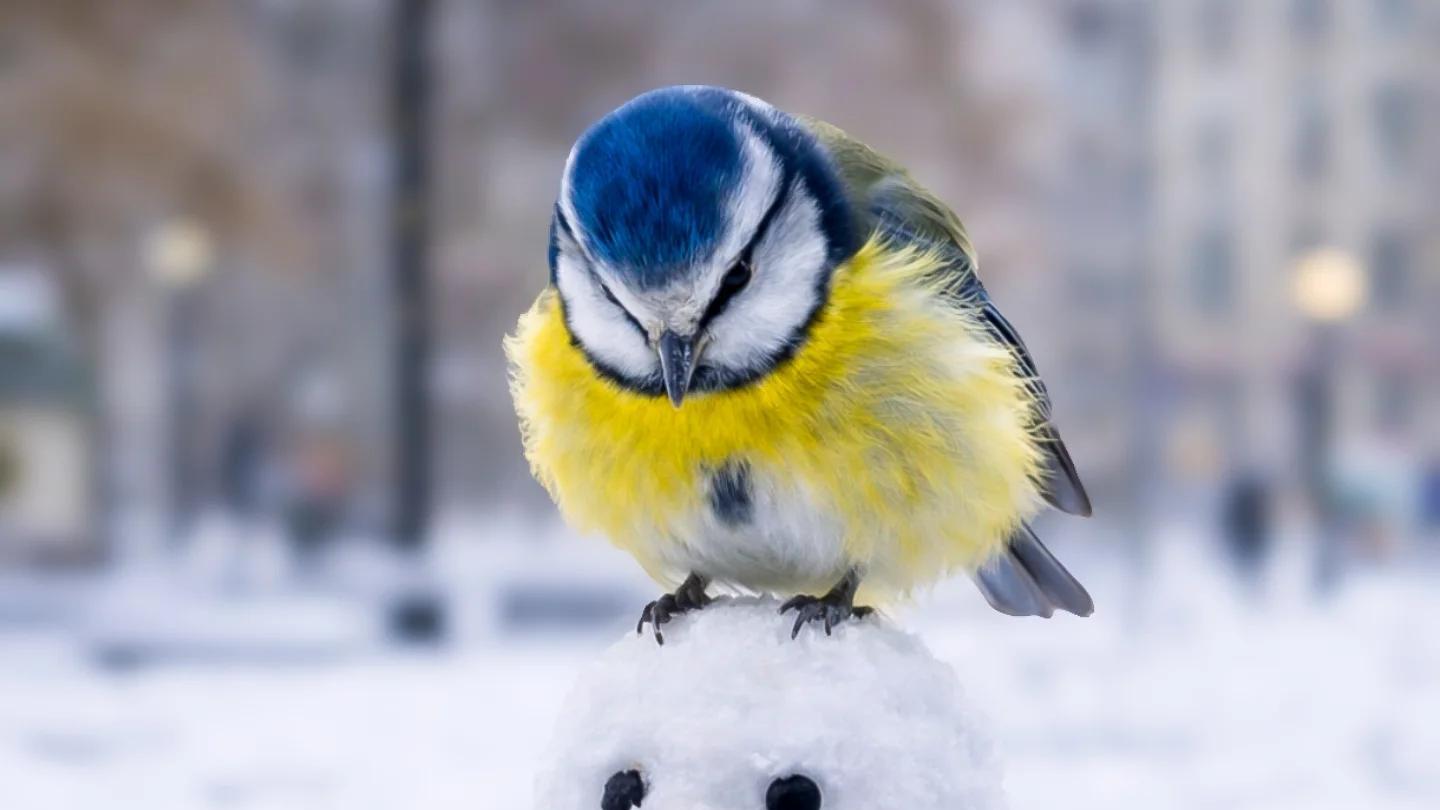 访谈美国心理治疗师：悲伤，没有阶段，也没有“走出来”这一说