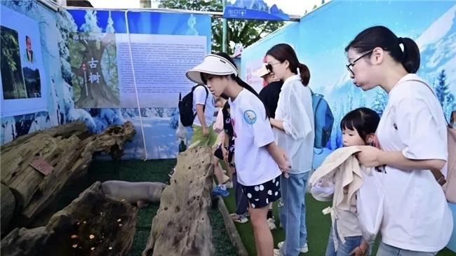 闹市筑绿岛 文韵燃山海——广东观音山以生态为基、文化破局铸就湾区文旅样板_广东生活网