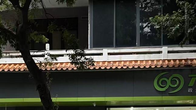 这就是极氪9X的热度吗？