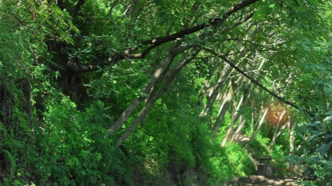 清明爬山实测：在唯品会3折入手的萨洛蒙，比想象中能打