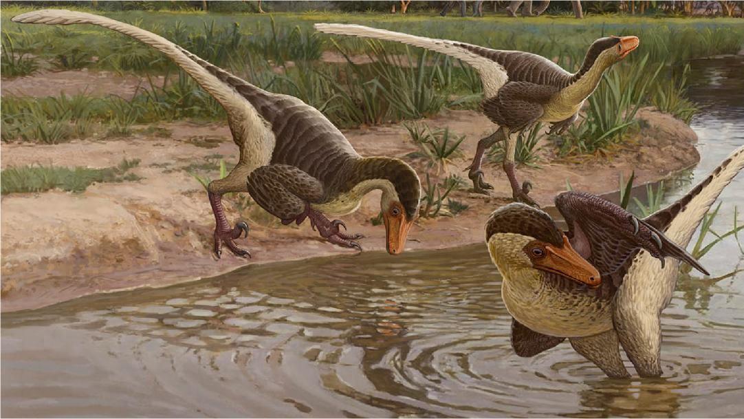 恐龙是冷血动物吗？问题可能从一开始就问错了