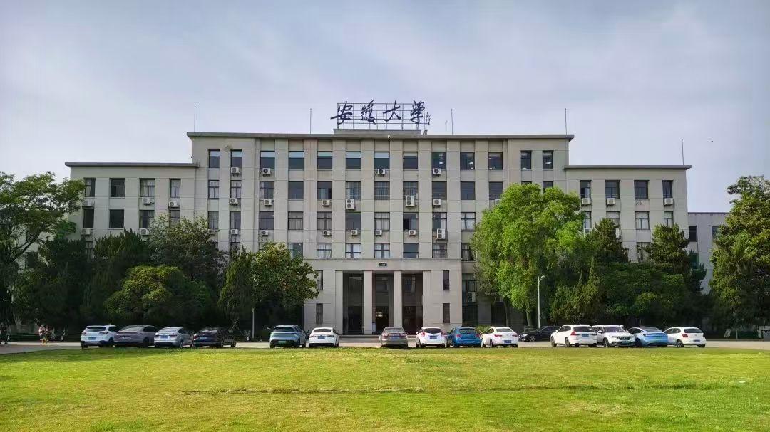 安徽高校大规模设置学术副校长，背后有何深意？