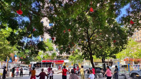 静音舞场 | 西乡径贝社区用静境定向音响破解广场舞扰民难题