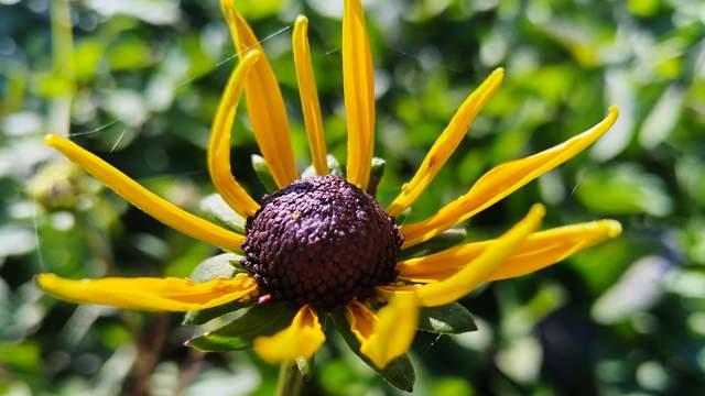 假期与青春期孩子相处，闭嘴远离和讲道理作用不大，遵循两策略