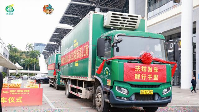 广西脱贫地区农产品年货大集正式启动