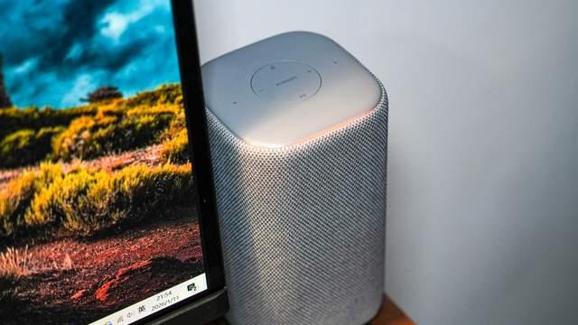 忘了黑白吧，我家多了个会聊天的“米色小石头！