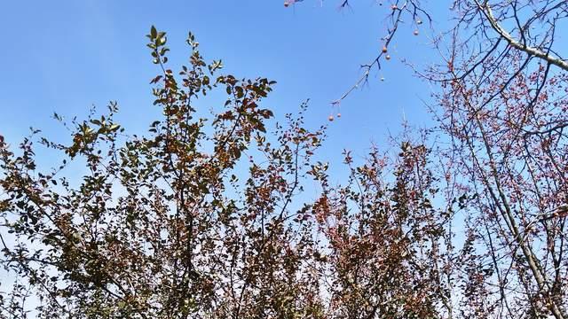 厌学孩子不是不想努力也不是缺方法，而是缺动力与心劲，家长需懂