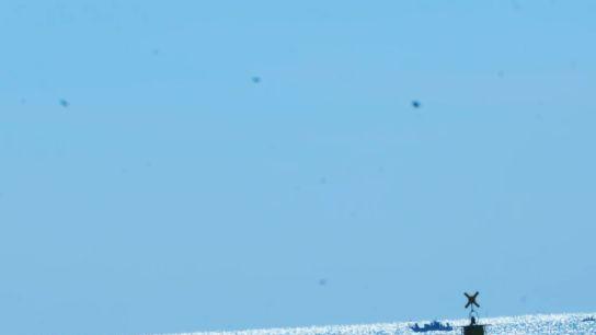 踏浪而行，在红瓦与碧海间，邂逅青岛的四季风情