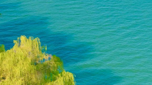 巴溪洲的湿地公园，藏着小众拍照的绝佳机位