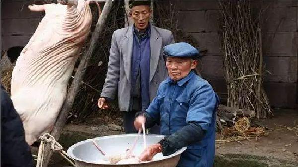 【年俗】二十六，开始“赶乱岁”：割年肉不含糊，杀年猪全村围观