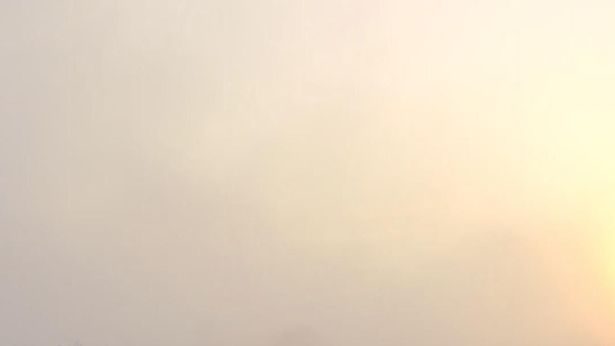 你的追求和我的喜欢