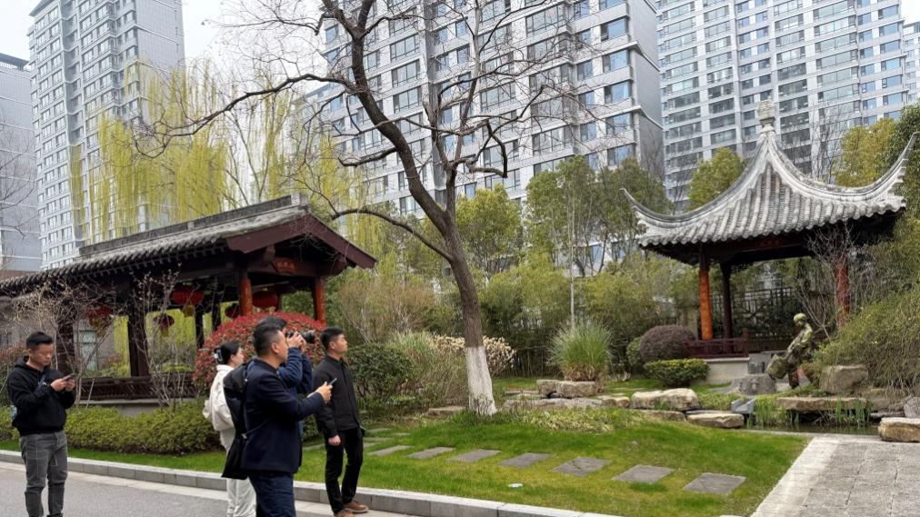 深圳市龙外集团行知学校参访南京市晓庄小学，探讨教育发展新路径