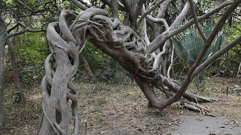 为什么开局之年，反而更要慢一点？