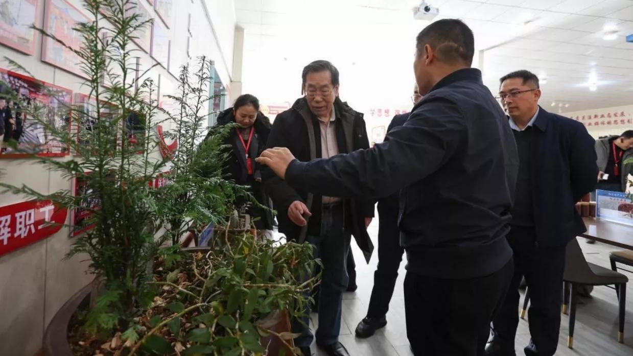 江西省武宁县引育高端人才助力乡村振兴