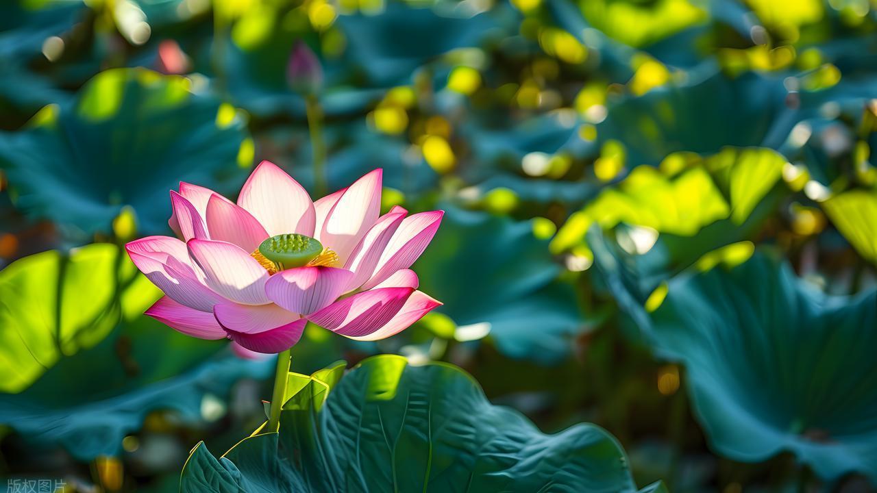 两个人是不是正缘，从这3件事就能看出来！