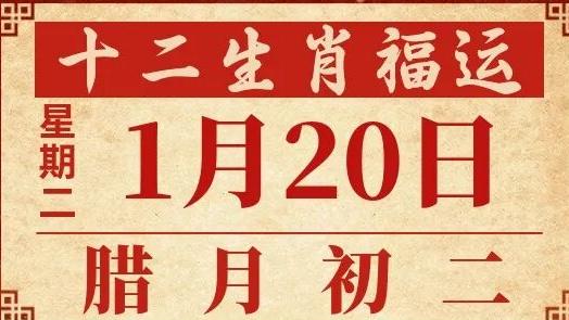 善韵缘|2026年1月20日十二生肖运势概况