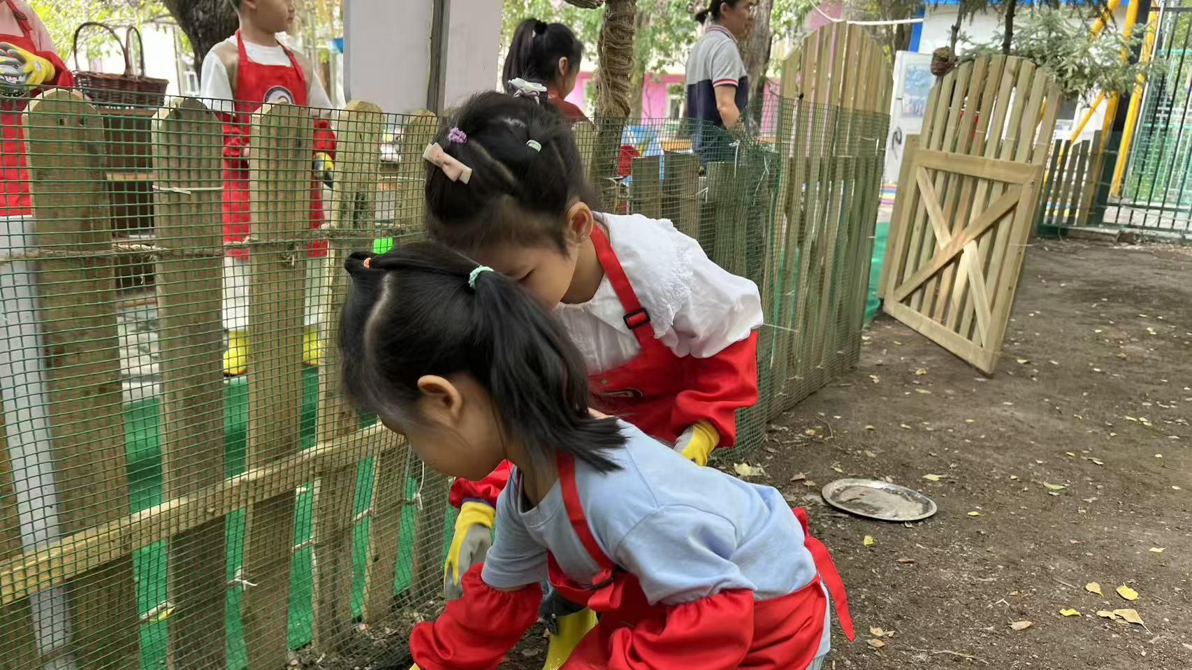 二胎家庭选幼儿园统筹考量