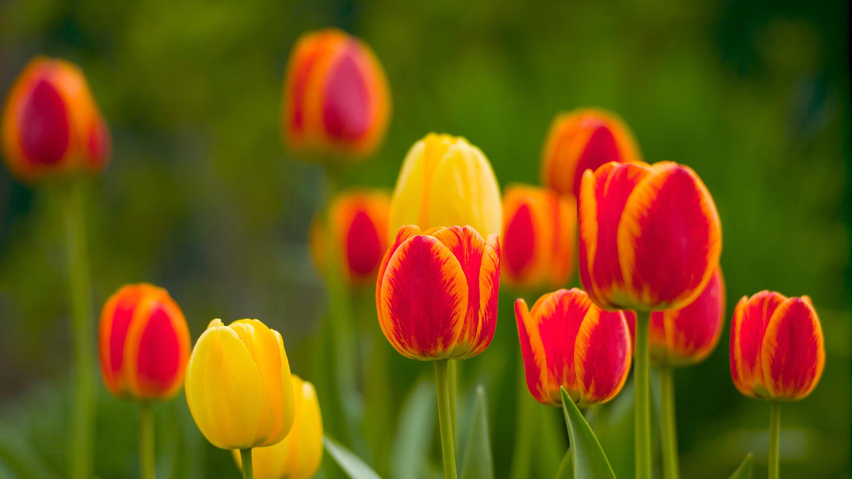 汪缘堂谈食伤在家里家外的意象