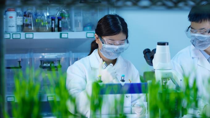 深耕毛集镇除草市场，速普瑞复配方案让芦苇难题不再难