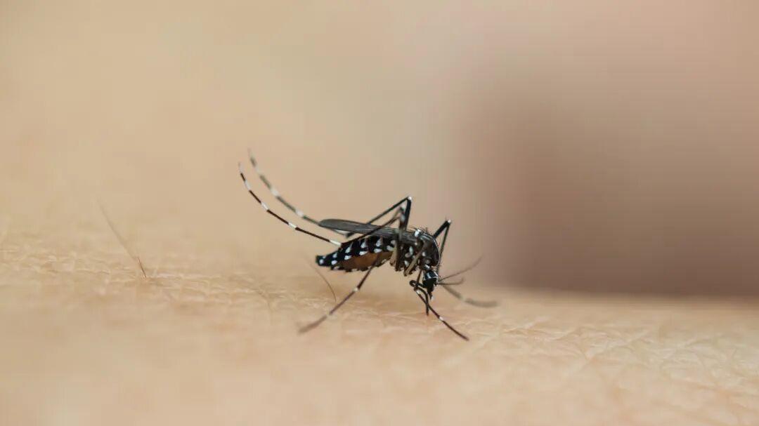 医生，我眼睛里有个“小蚊子”！