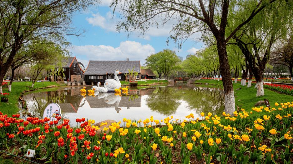 三月江苏必冲！这几个景区花开成海，拍照遛娃全适配，保姆级攻略收好