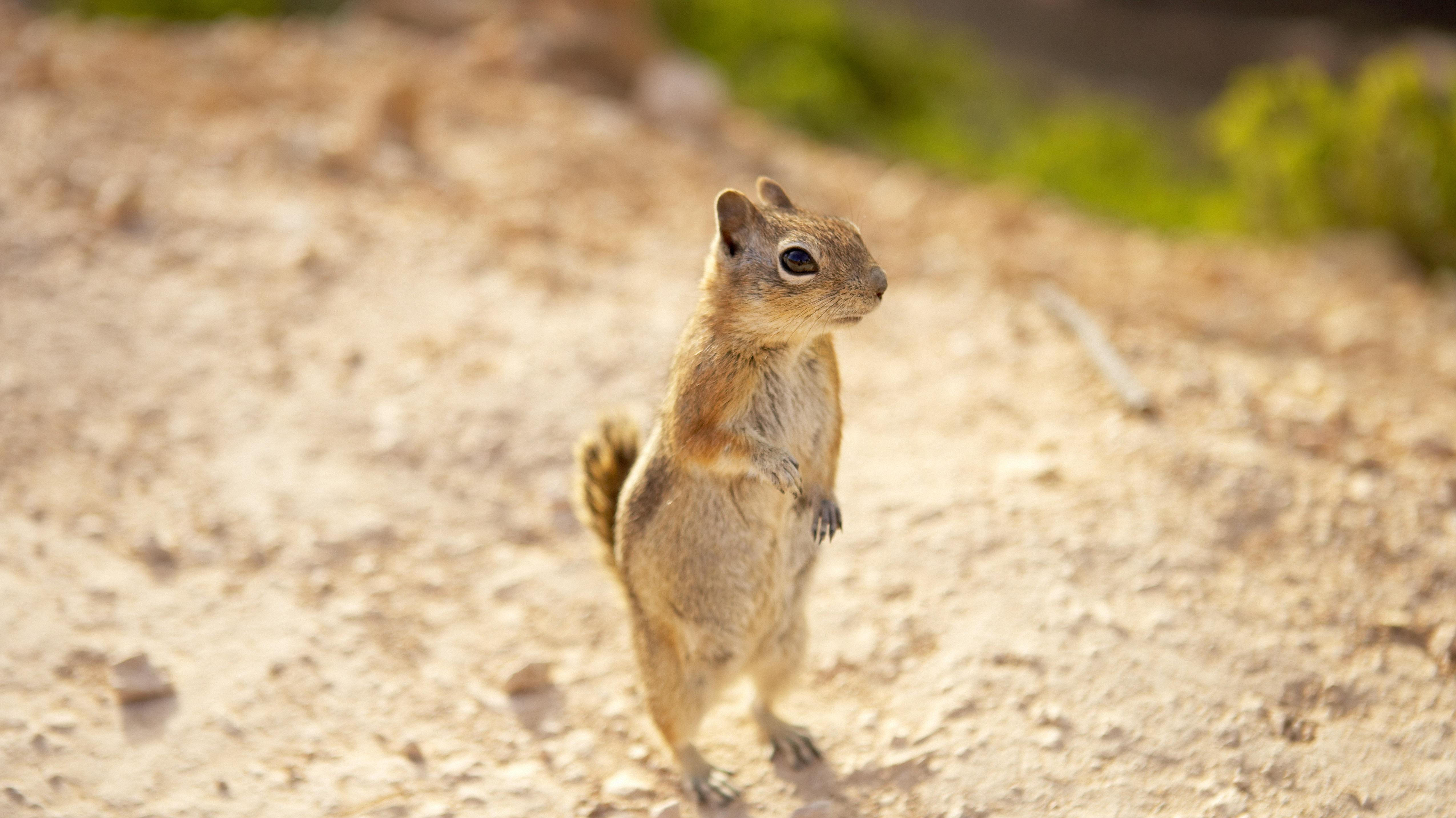 领导力不是头衔，是组织的“空气质量”