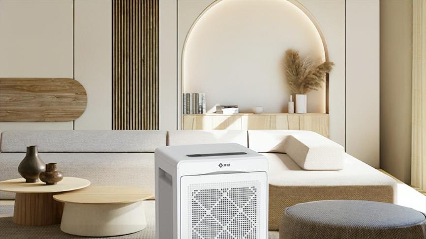 用了半年新颐净化器，我总结出 3 个必买理由