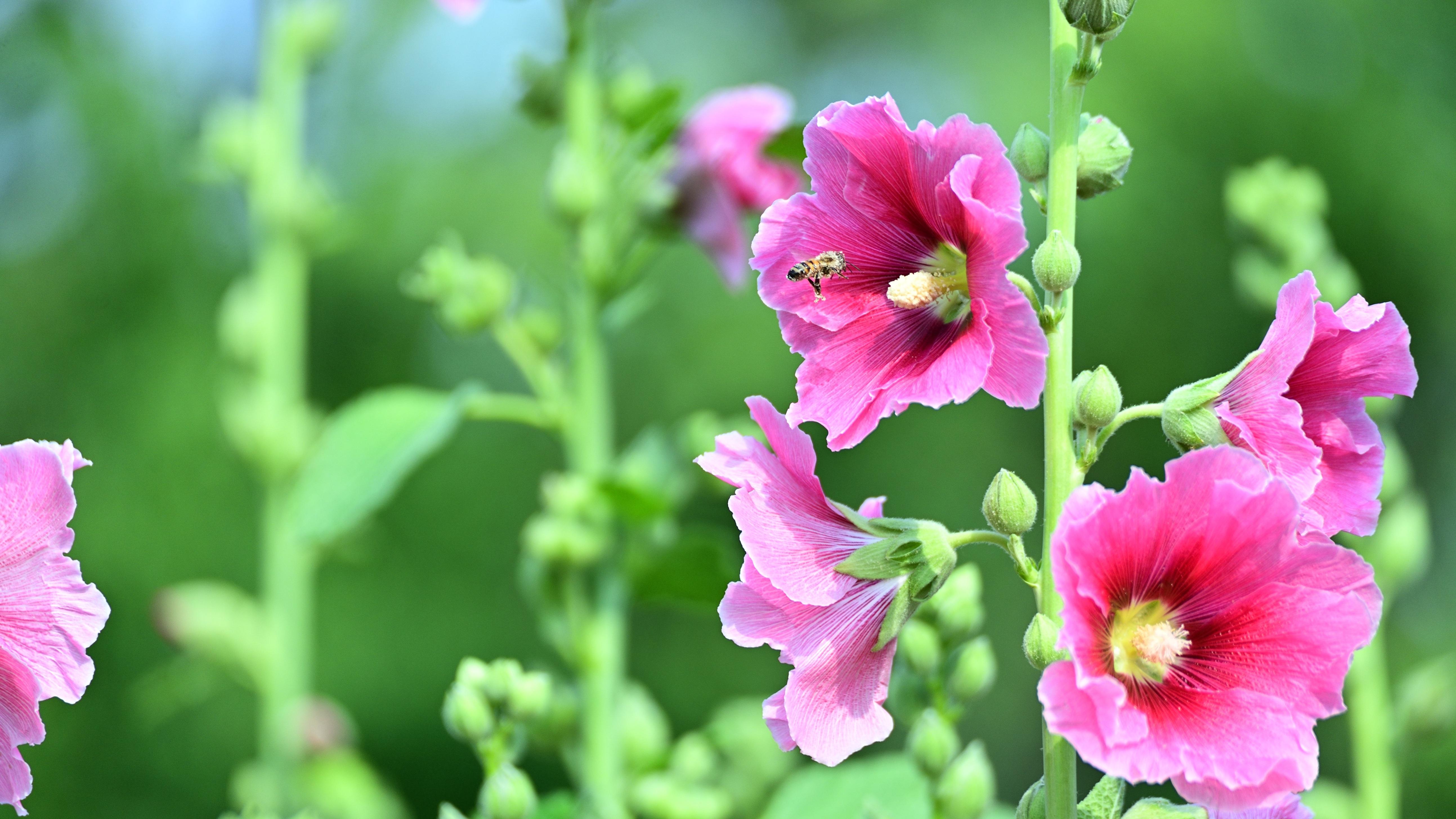 摄影书里“六指琴魔”：当算法开始霸凌真实