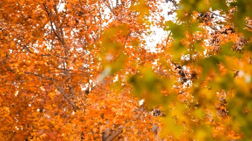 极氪9X试驾完我沉默了三天，有些话不吐不快