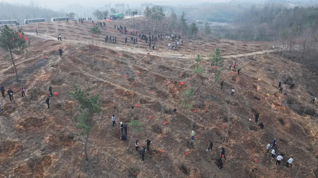 信阳市浉河区开展春季全民义务植树活动
