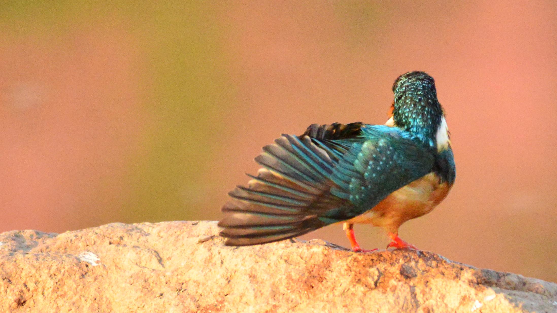 农民该不该回乡？答案其实藏在系统升级里