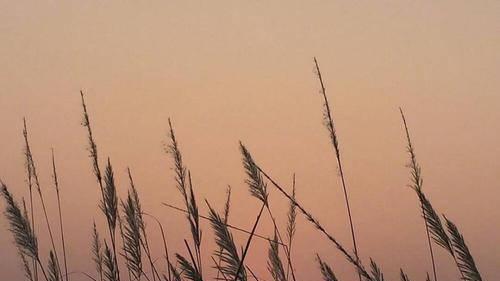 一辆合法改装的车上路还是不错的