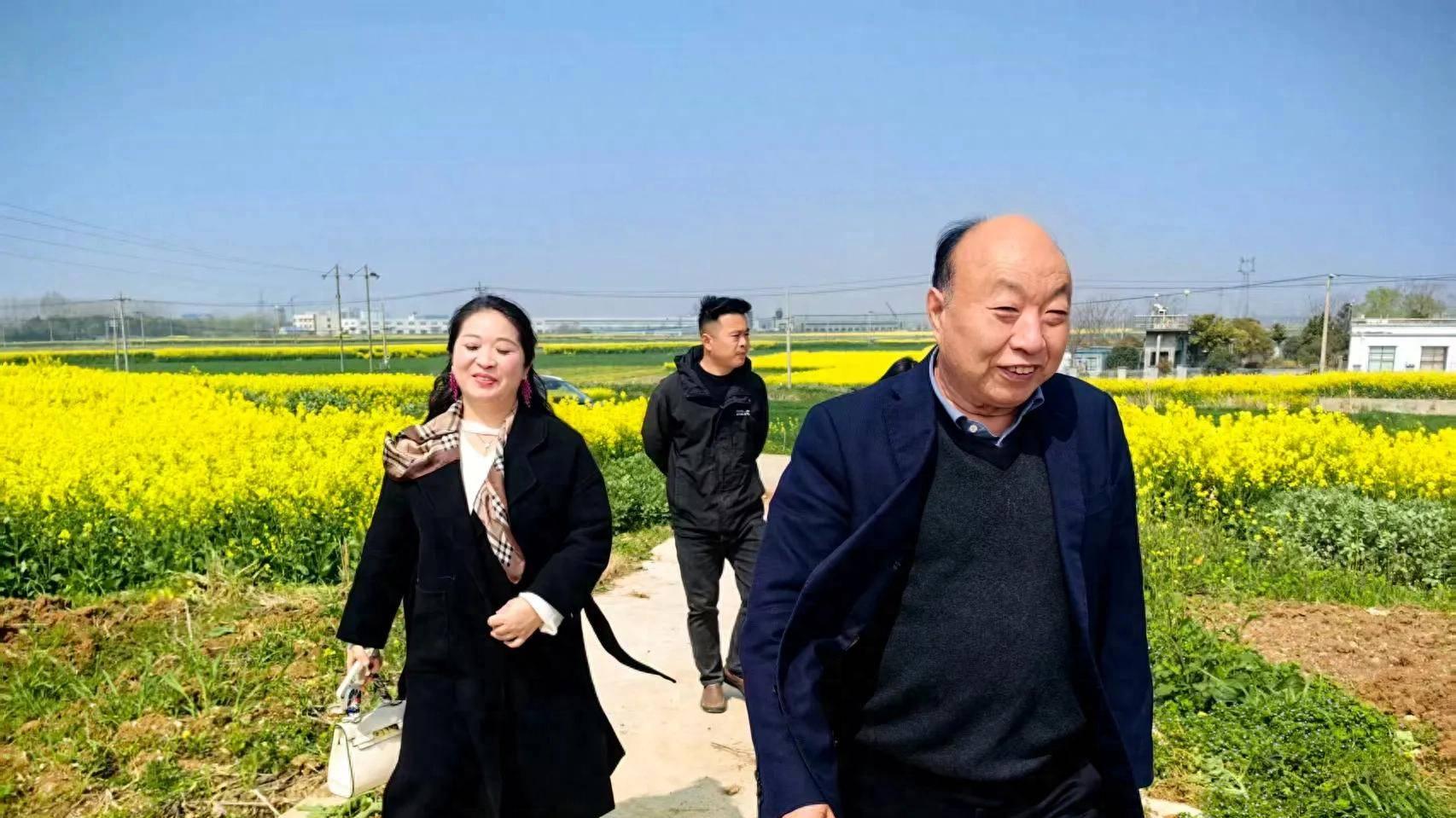 蘑菇大王丁伦保在合肥市巢湖市中垾镇、六安市舒城县千人镇指导