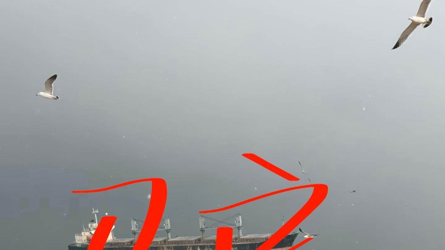 威海受冻已回，有些实话我必须说…