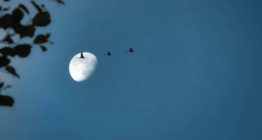 产品涨价了家电企业却不高兴