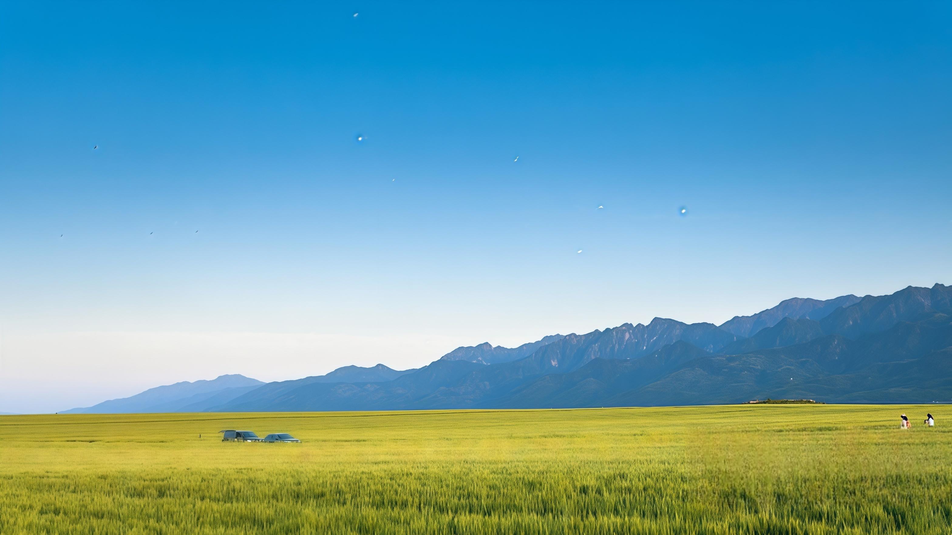 农村家电大换血：一场被低估的县域消费革命