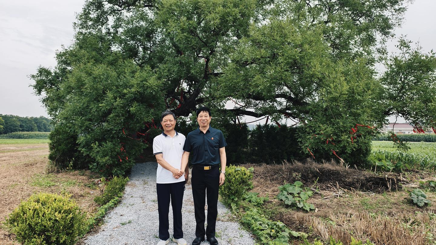 著名社会活动家刘瀚锴在家乡专程看望已有350多年树龄的国槐树圣——UC头条