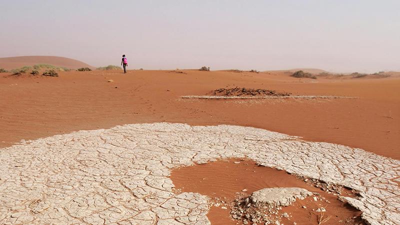 熬不过低谷，就看看这5句箴言，悟不透一生难逃牢笼
