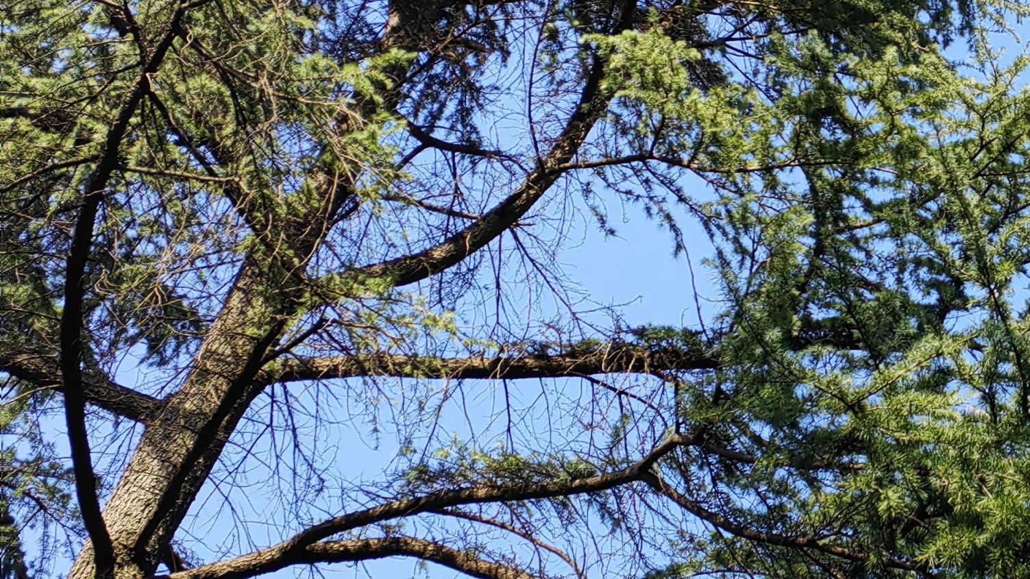 职场真相：抱怨是本能；不抱怨，是选择