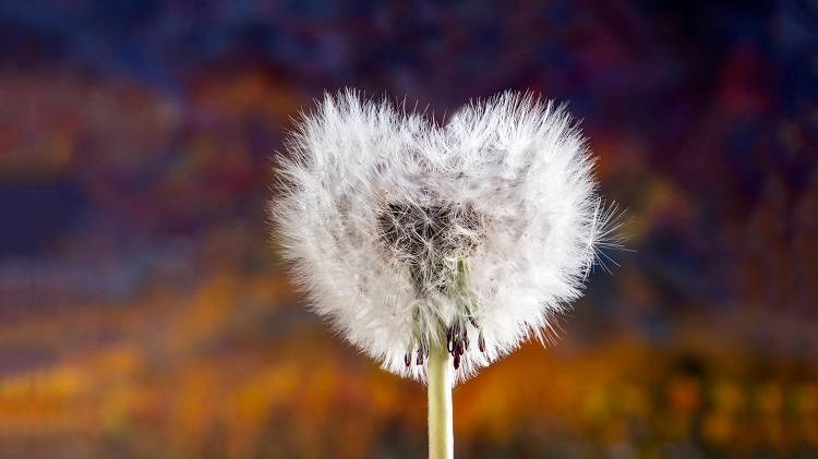 重读《小团圆》才懂：离开错的人，是一个人顶级的清醒