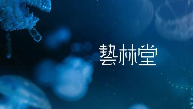溟知海 | 向深蓝处，见星海万象