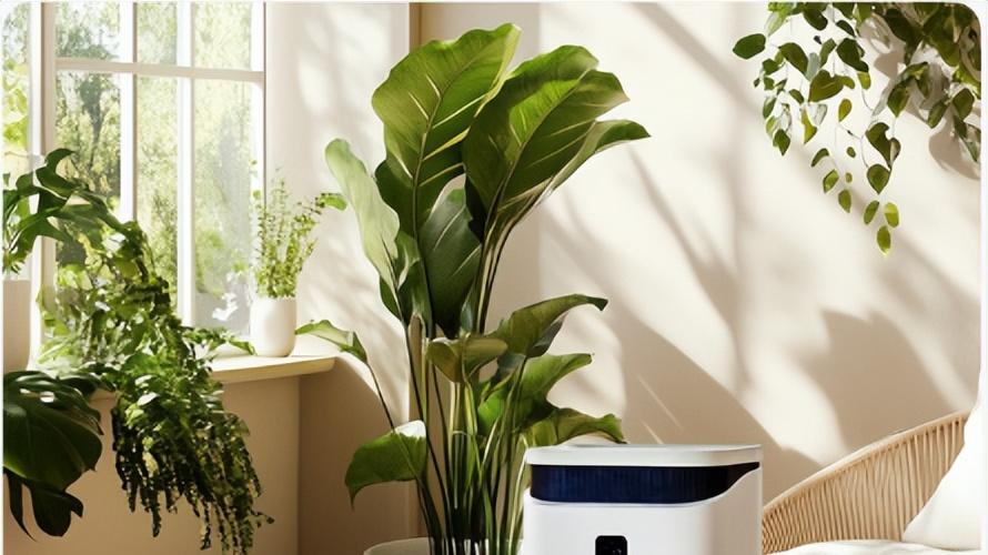 实测新颐小白 A5：内置天猫精灵，离线语音控老人也会用