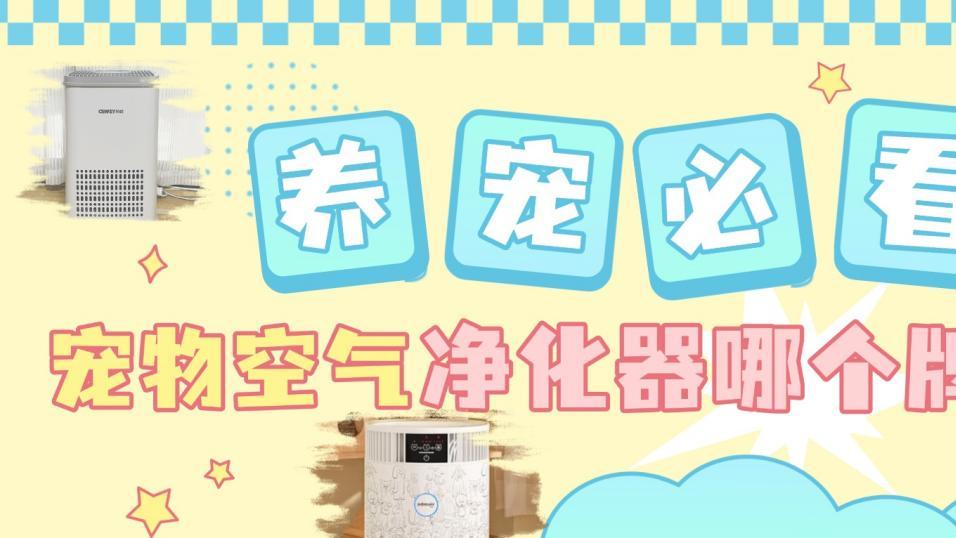 ​2026年宠物空气净化器哪个牌子好用? 宠物空气净化器有必要买吗?